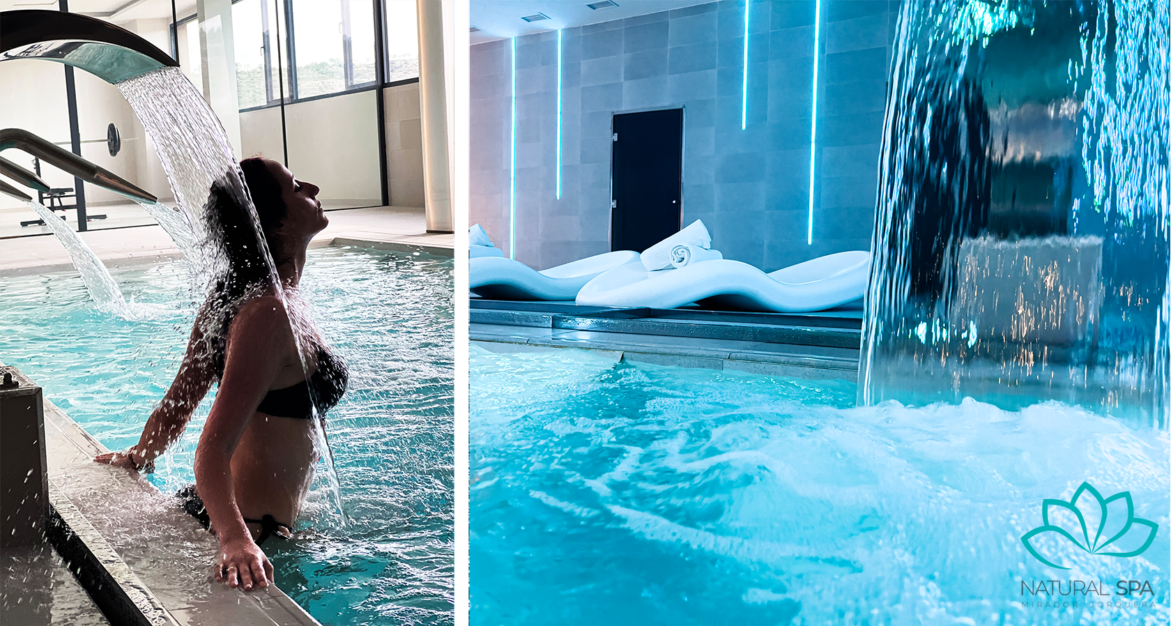 Descripción de la imagen